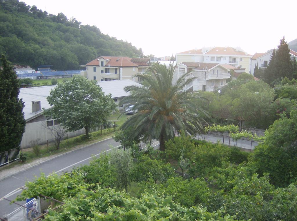 Guesthouse Lautasevic Petrovac Exterior foto