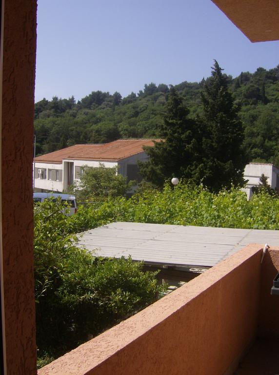 Guesthouse Lautasevic Petrovac Exterior foto